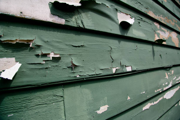 Best Hoarding Cleanup  in Laguna Heights, TX